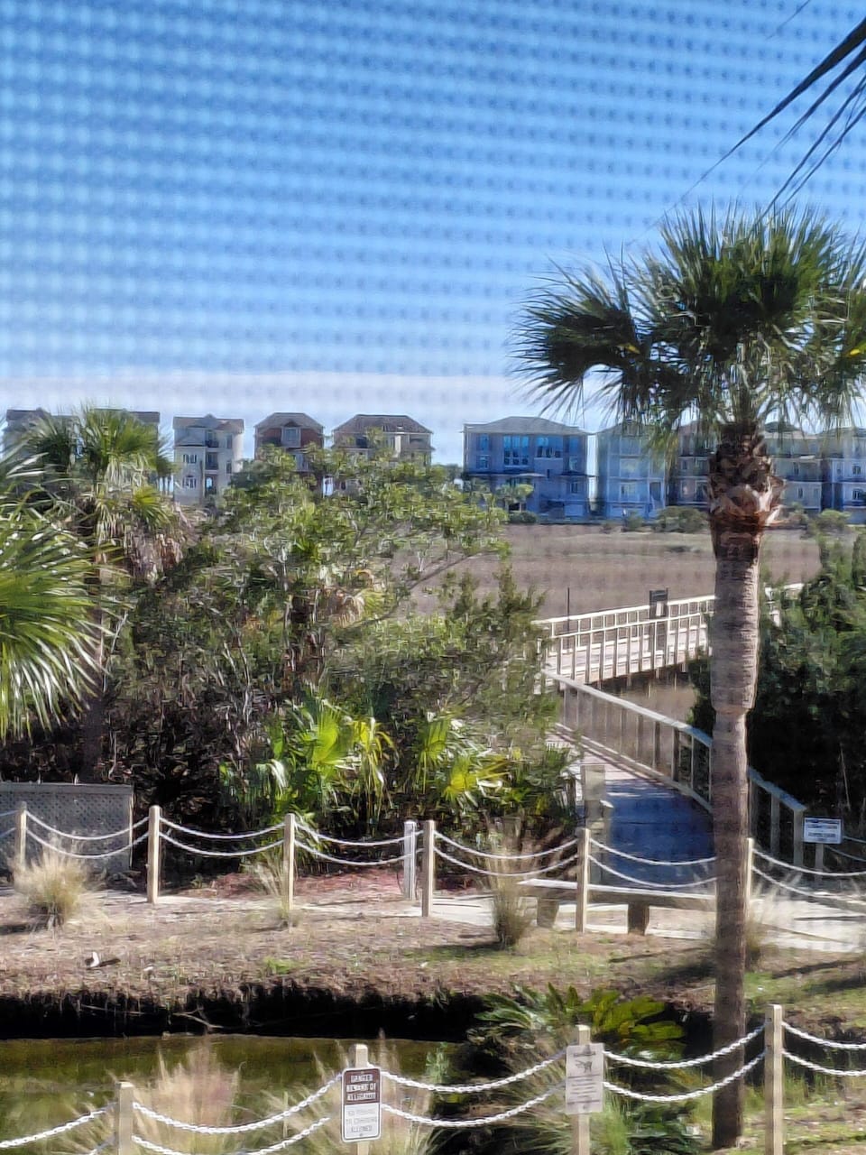 View from Balcony.