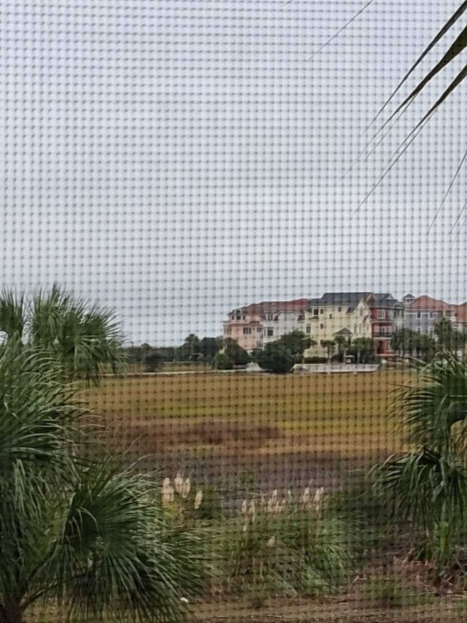 pic from balcony