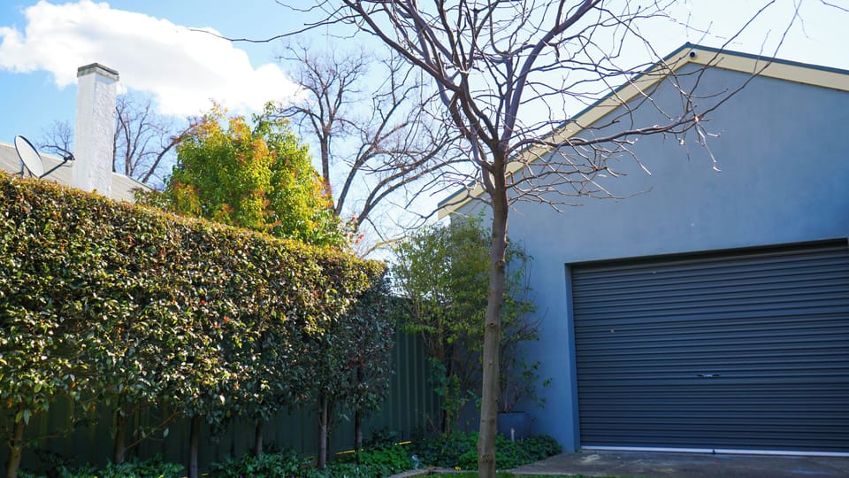 Outdoor area