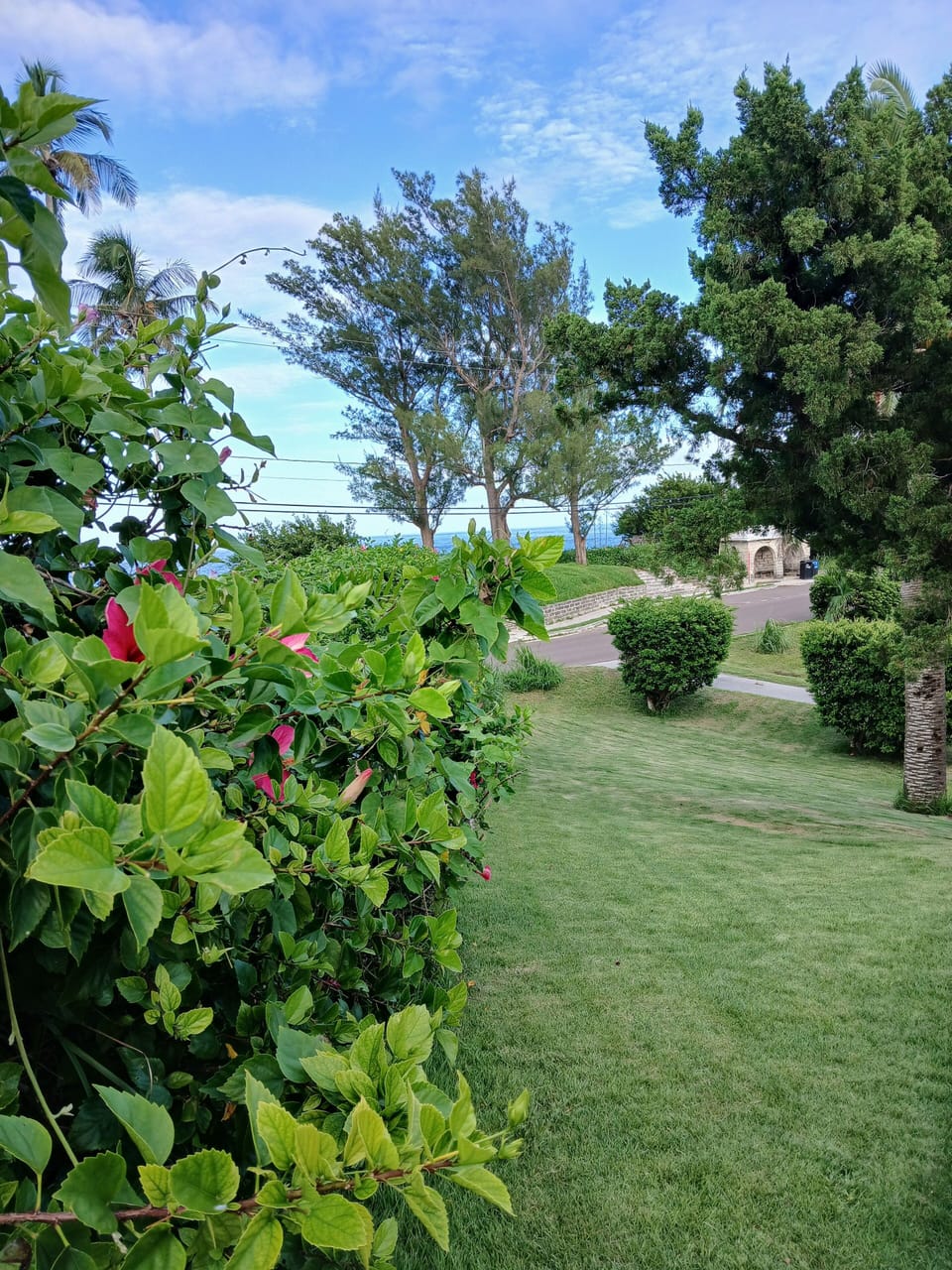 Property grounds