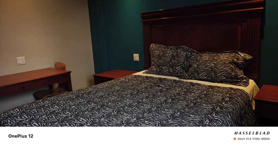 Standard Single Room, Non Smoking | Desk, WiFi (free)