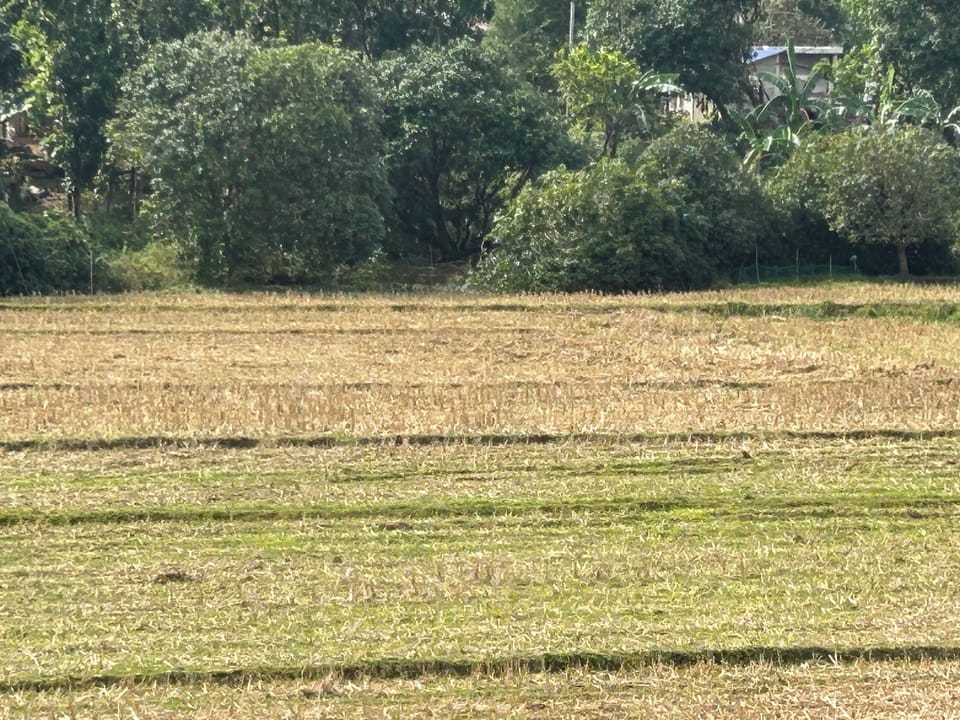 Land view from property