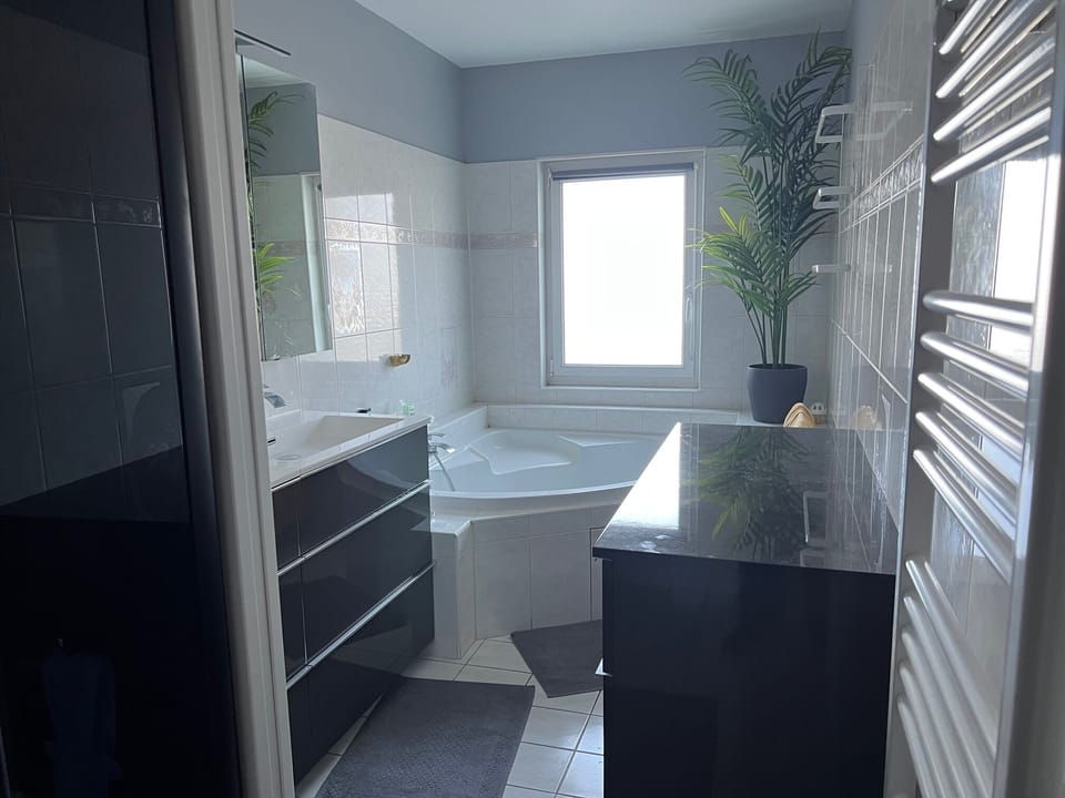 Hair dryer, towels, shampoo