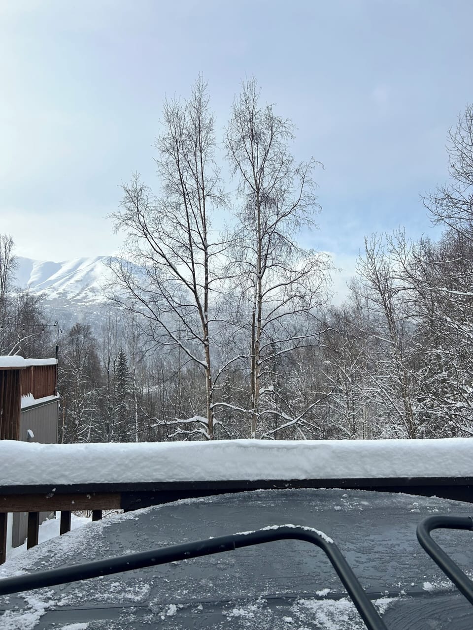 Winter view from the hot tub