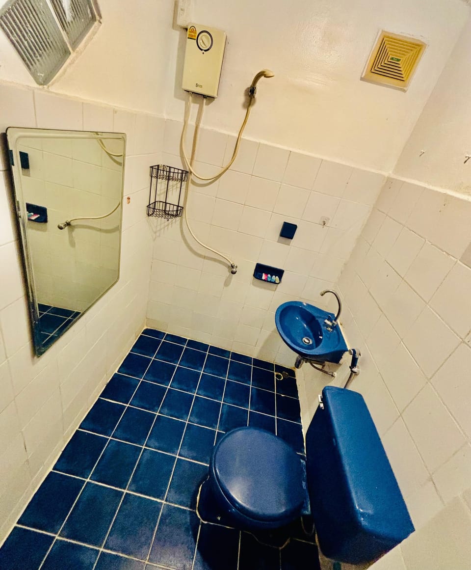 Deluxe Double Room | Bathroom | Shower, free toiletries, bidet, towels