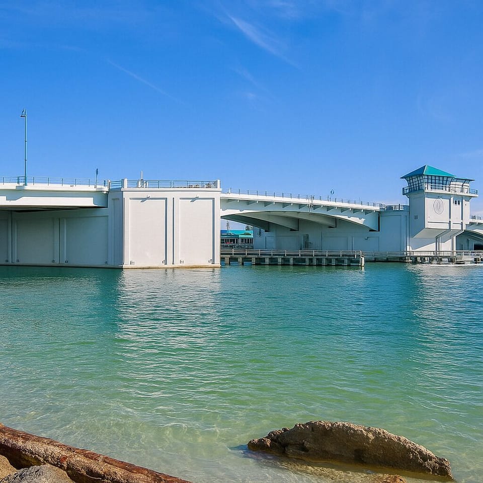 John's Pass Bridge Dolphin sitings galore

