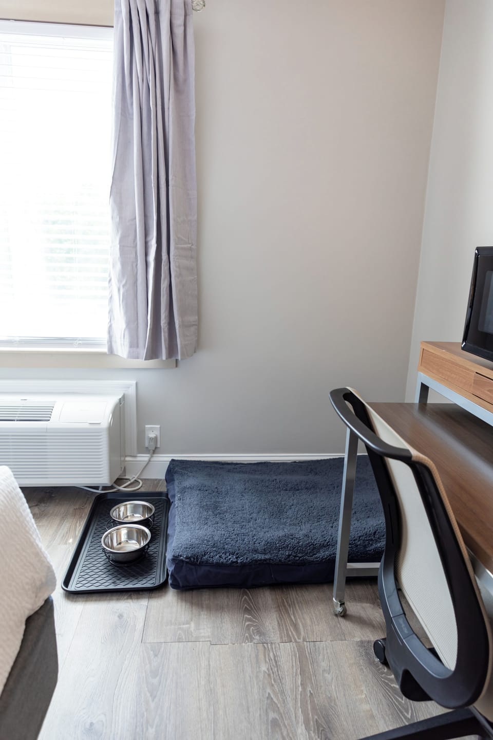 Pet-friendly amenities