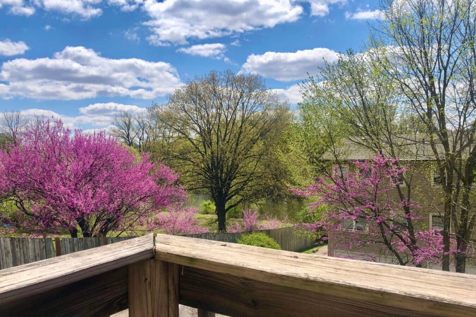 View from Kitchen Balcony of Fox River
