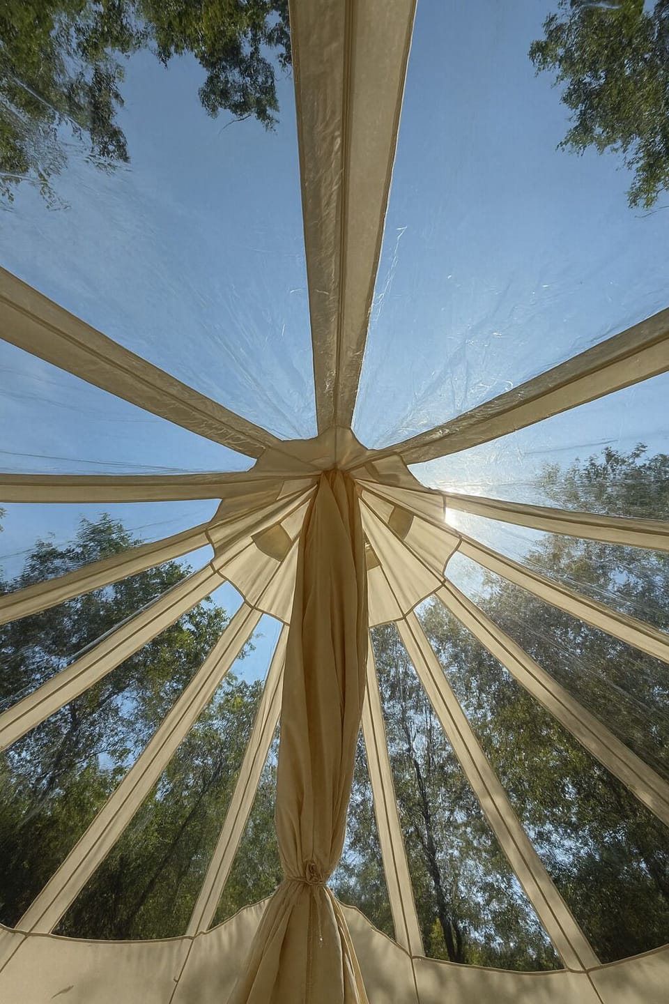 Stargazing windows