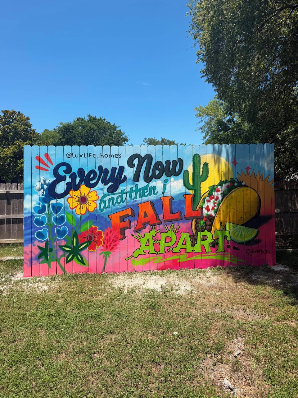 Colorful backyard mural adds fun, local charm to the outdoor space