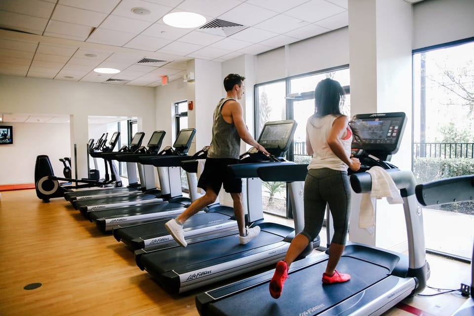 Sheraton Orlando Lake Buena Vista Resort - NEWLY RENOVATED! Hotel in Lake Buena Vista