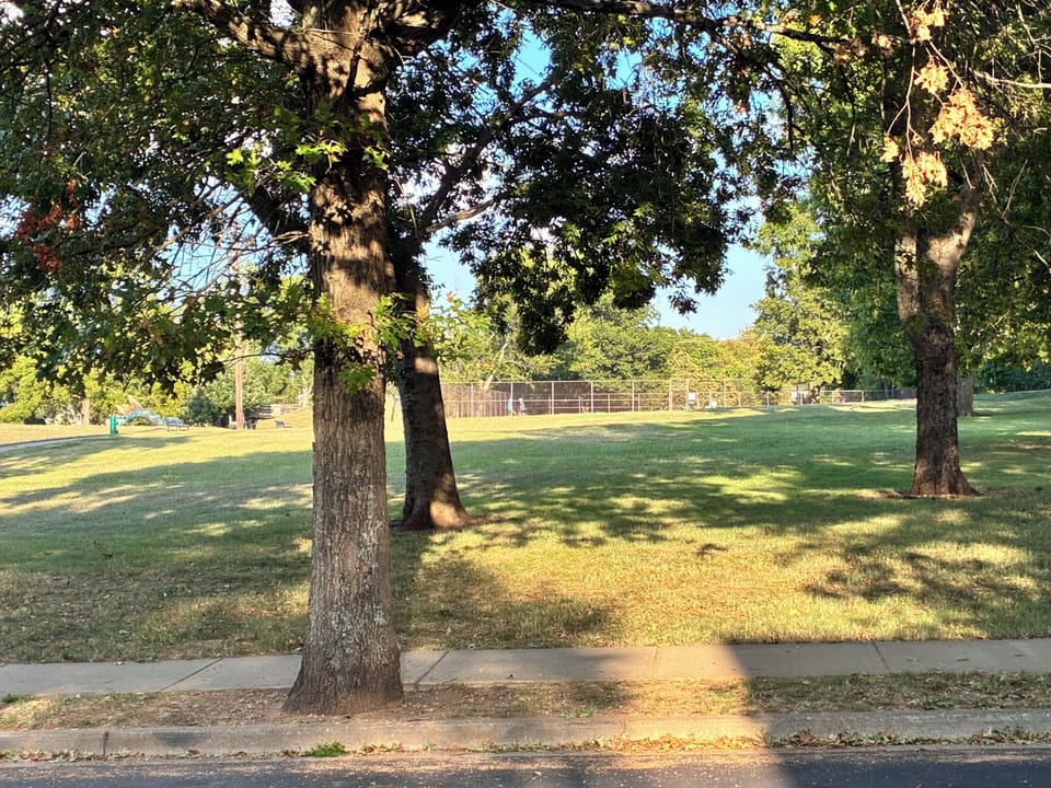 Park with tennis court and great playground for kids. Weekend yoga etc
