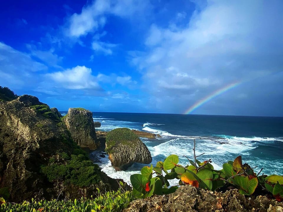 Views from the Survival Beach Hiking Trail