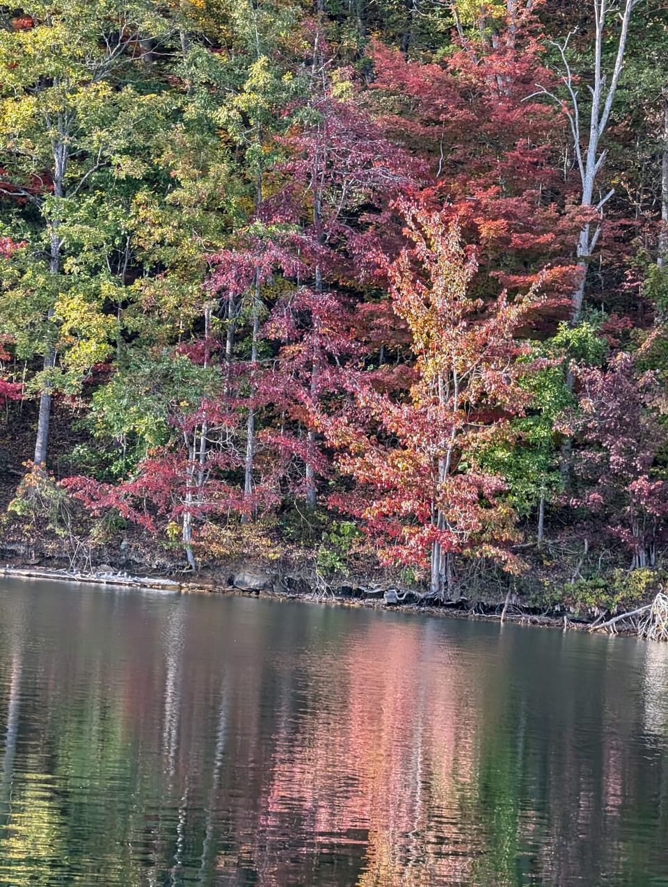 Woods Creek Natures Beauty on Display