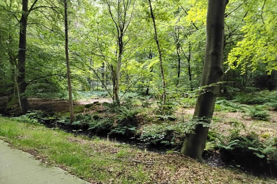 Surroundings [summer] (1-5 km)