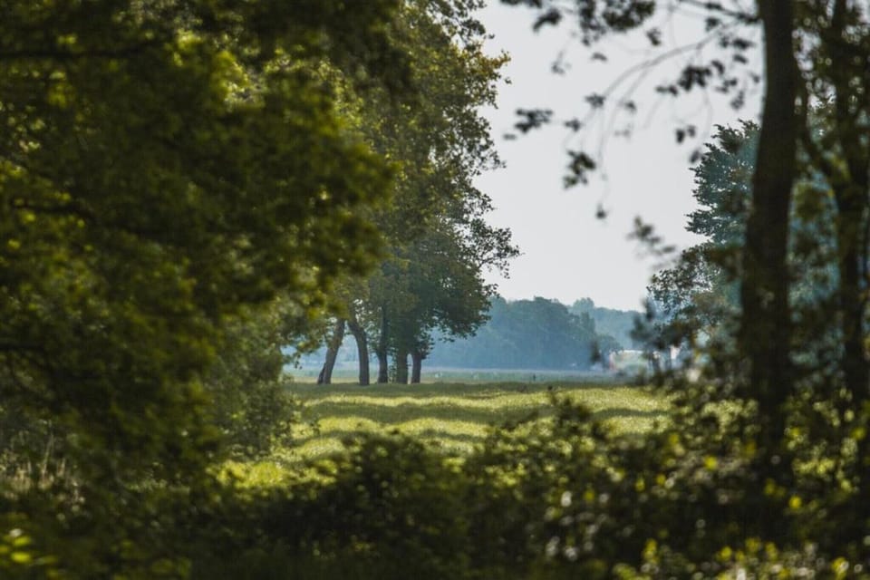 Region [summer] (>5 km)