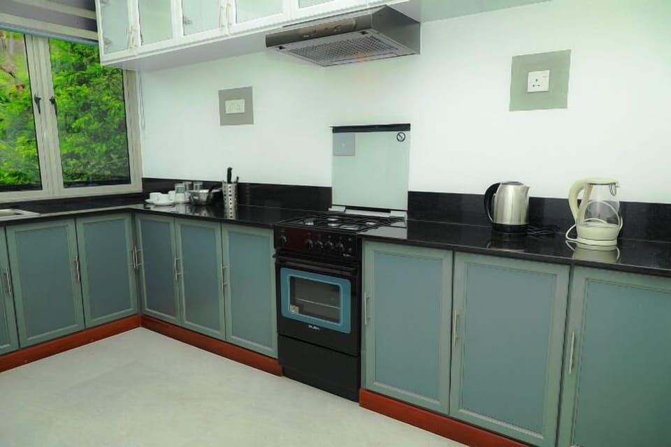 Double Room, Balcony, River View | Private kitchen | Full-size fridge, oven, dishwasher, cookware/dishes/utensils