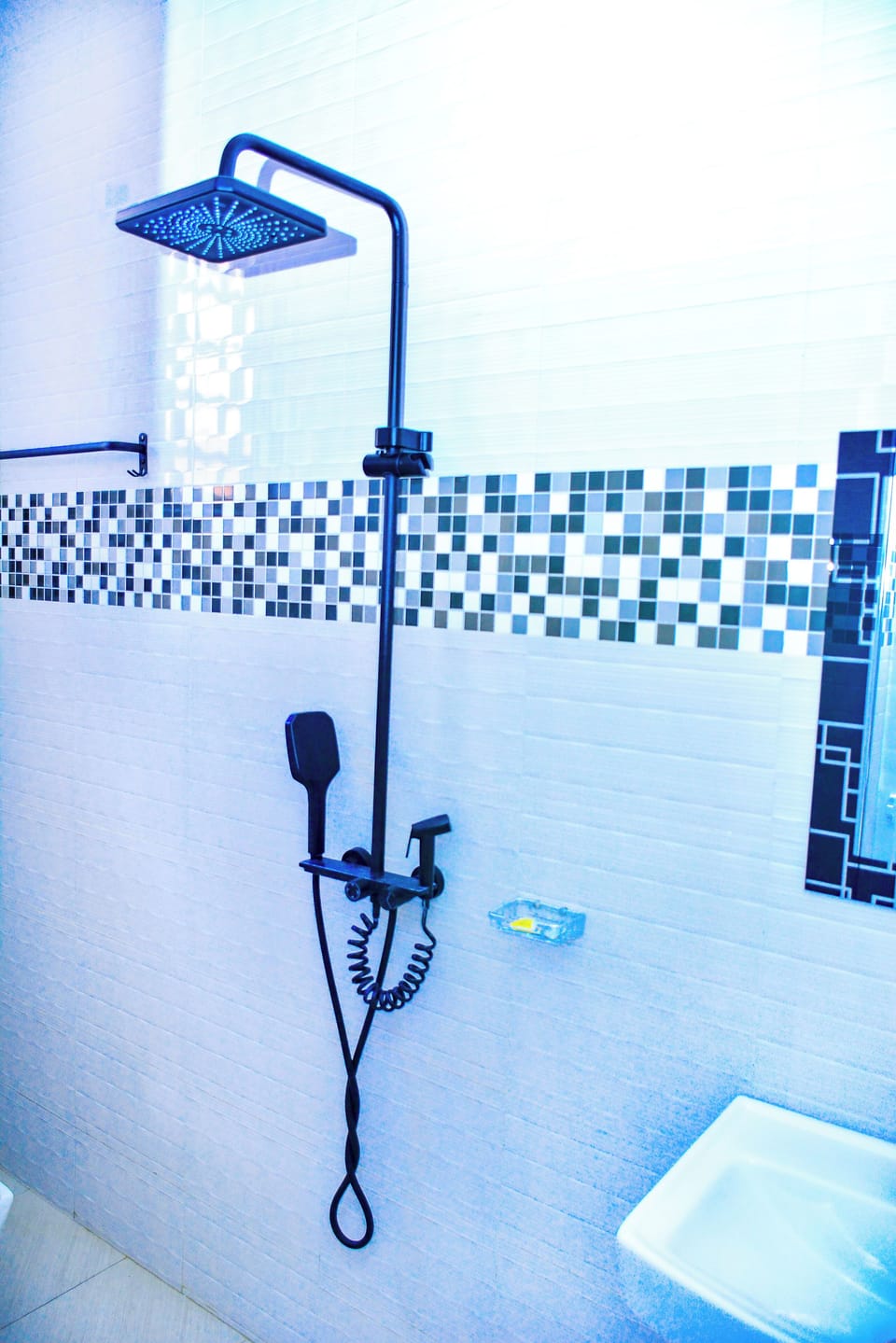 Shower, free toiletries, slippers, bidet