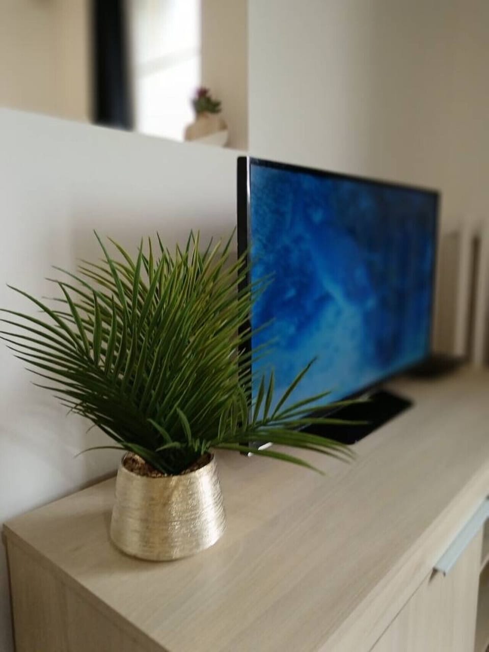 Television