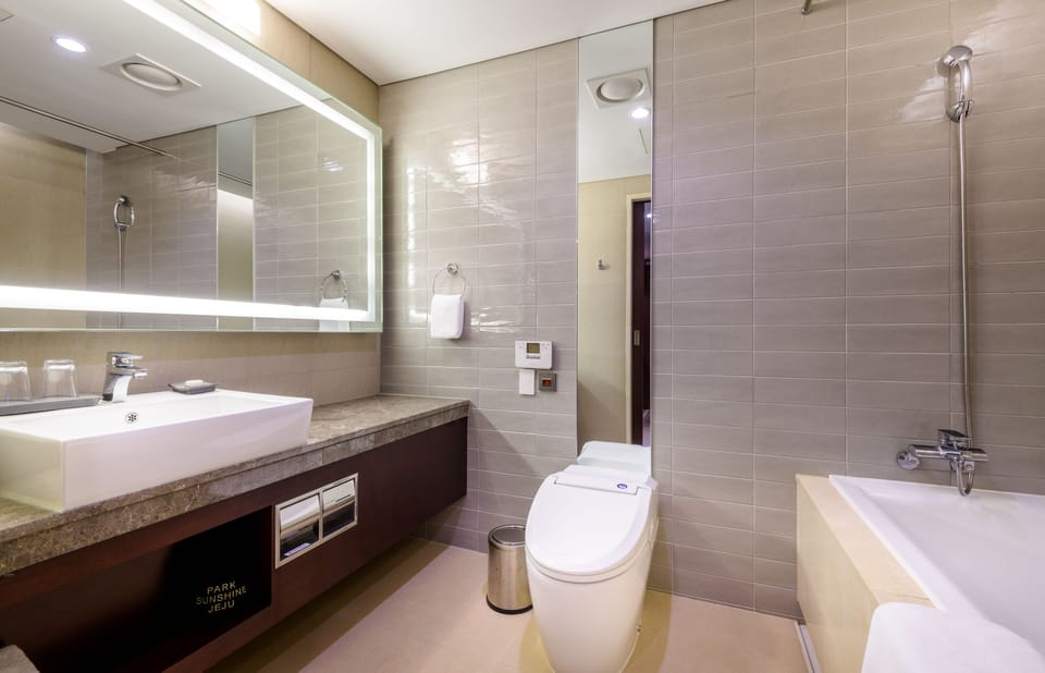 Hair dryer, bathrobes, slippers, bidet