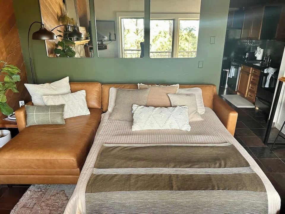Queen Pull Out Bed in Living Room