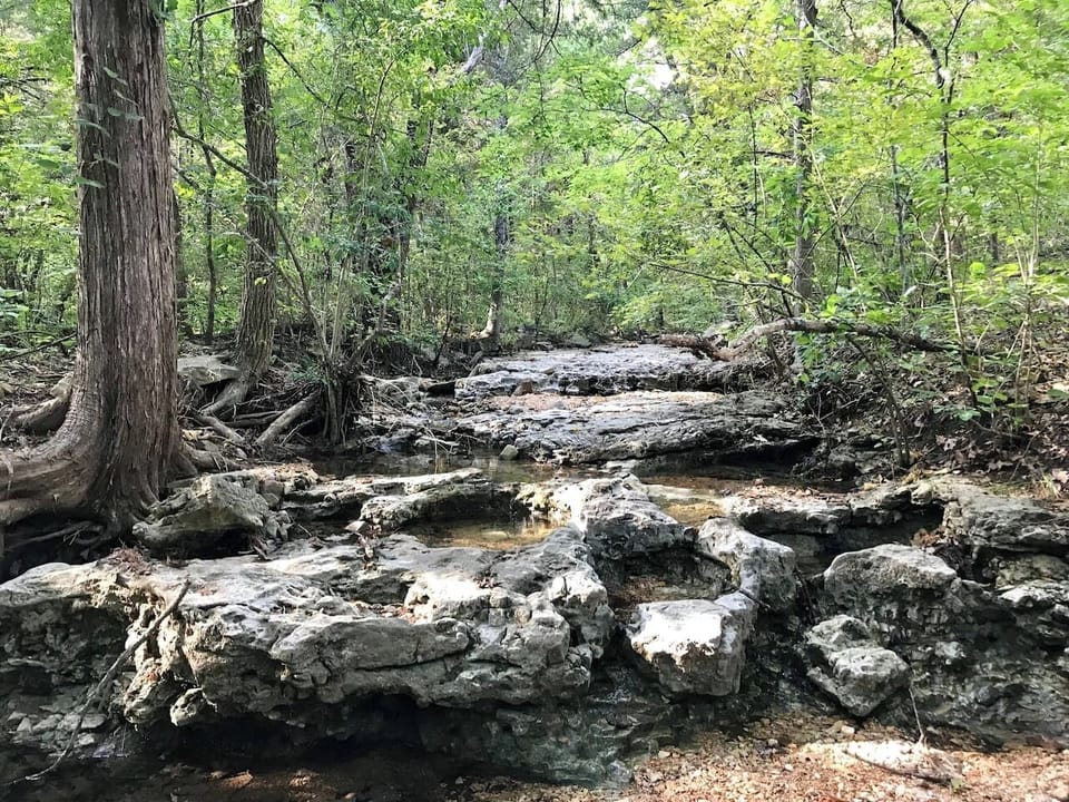 Creek right outside back yard