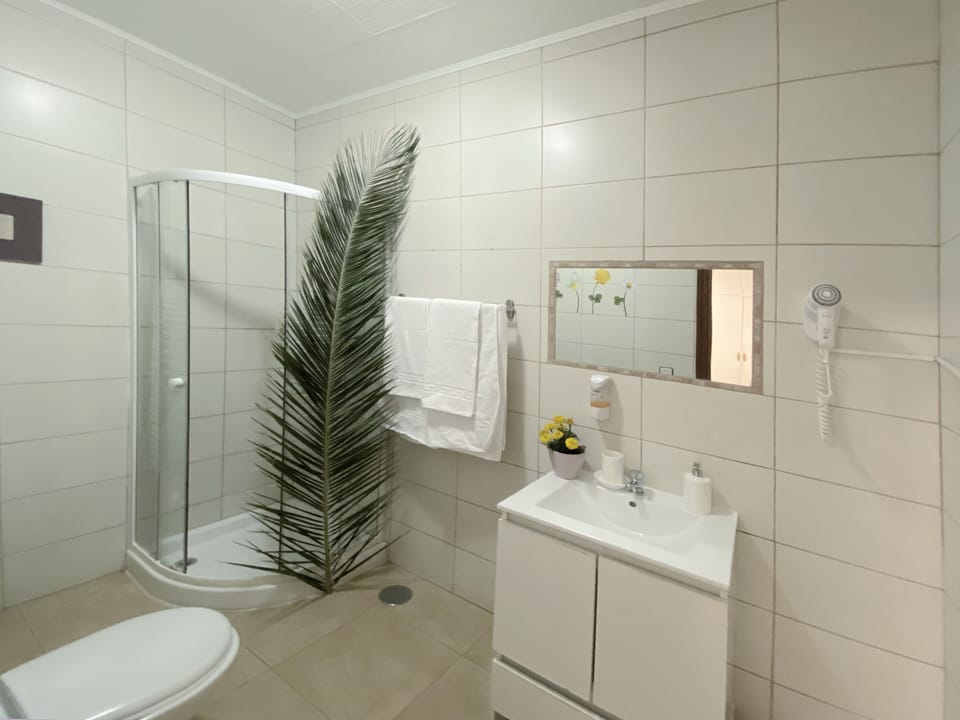 Family Room | Bathroom | Shower, hair dryer, towels, soap