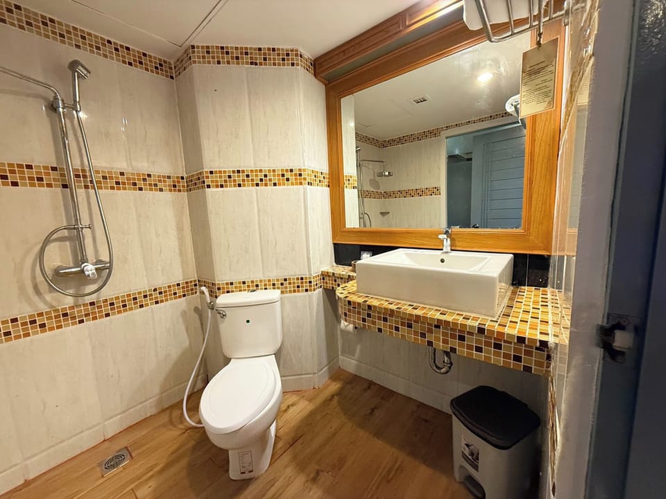 Deluxe Double Room | Bathroom | Shower, rainfall showerhead, free toiletries, hair dryer