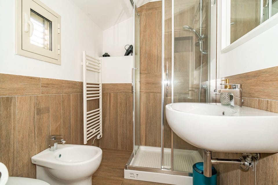 Shower, hair dryer, bidet, towels