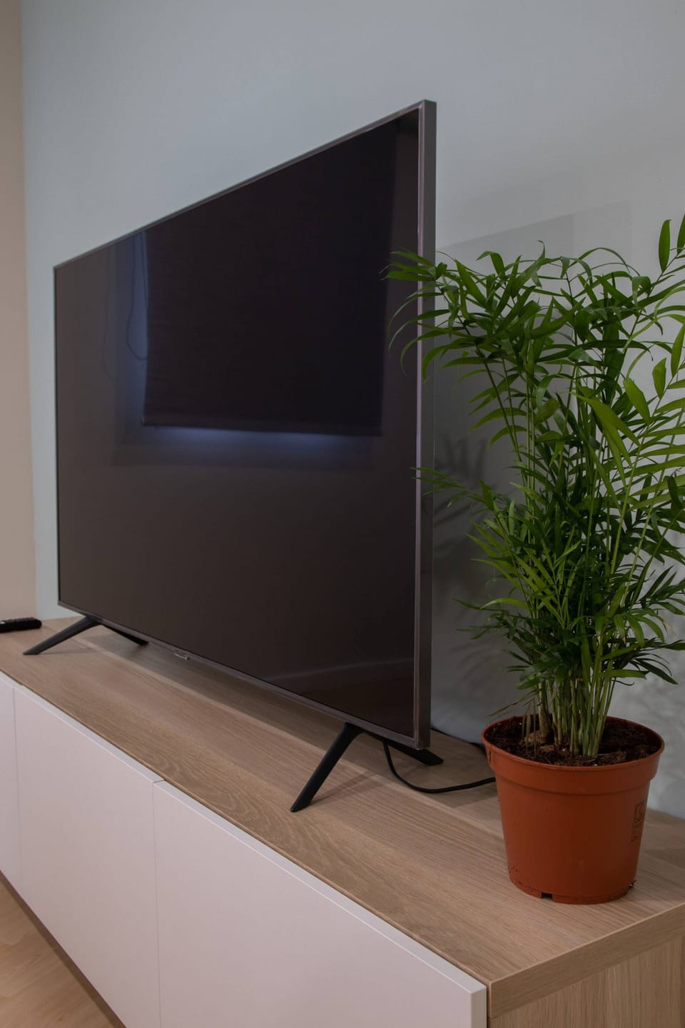 Television