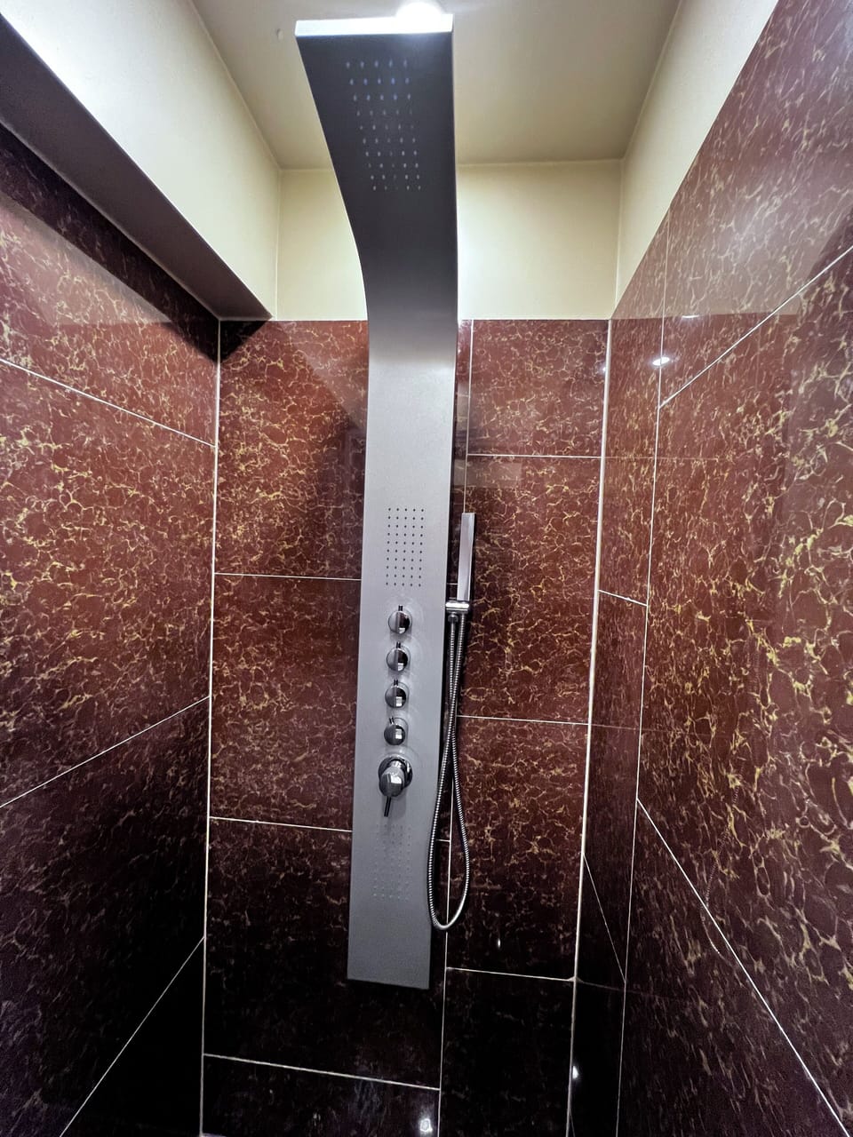 Shower, hair dryer, towels, shampoo