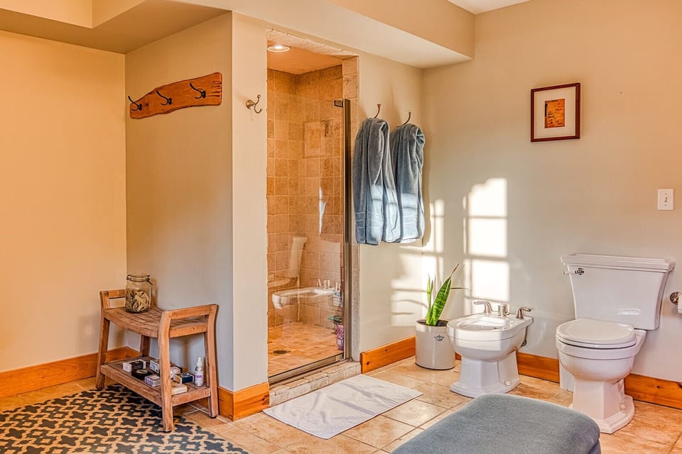 Primary bathroom, shower