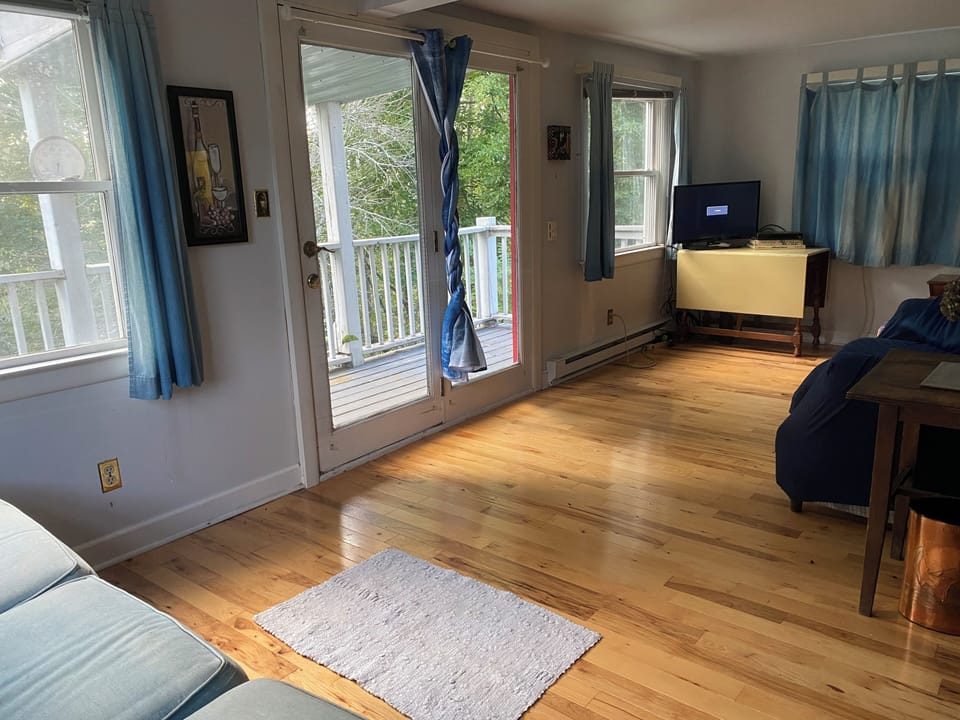 Living area with sofa bed
