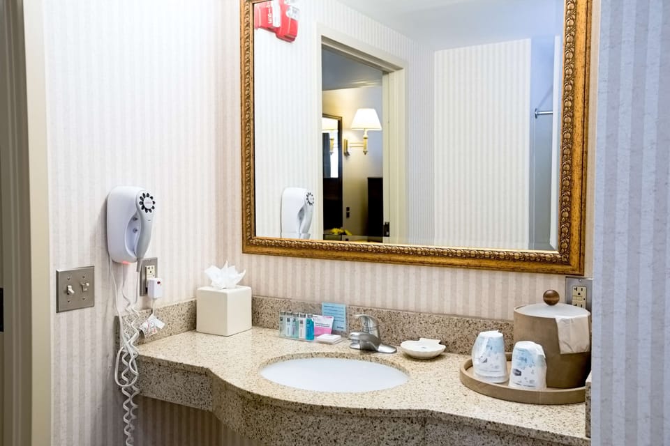 Room, 1 King Bed, Accessible, Non Smoking | Bathroom | Free toiletries, hair dryer, towels, soap