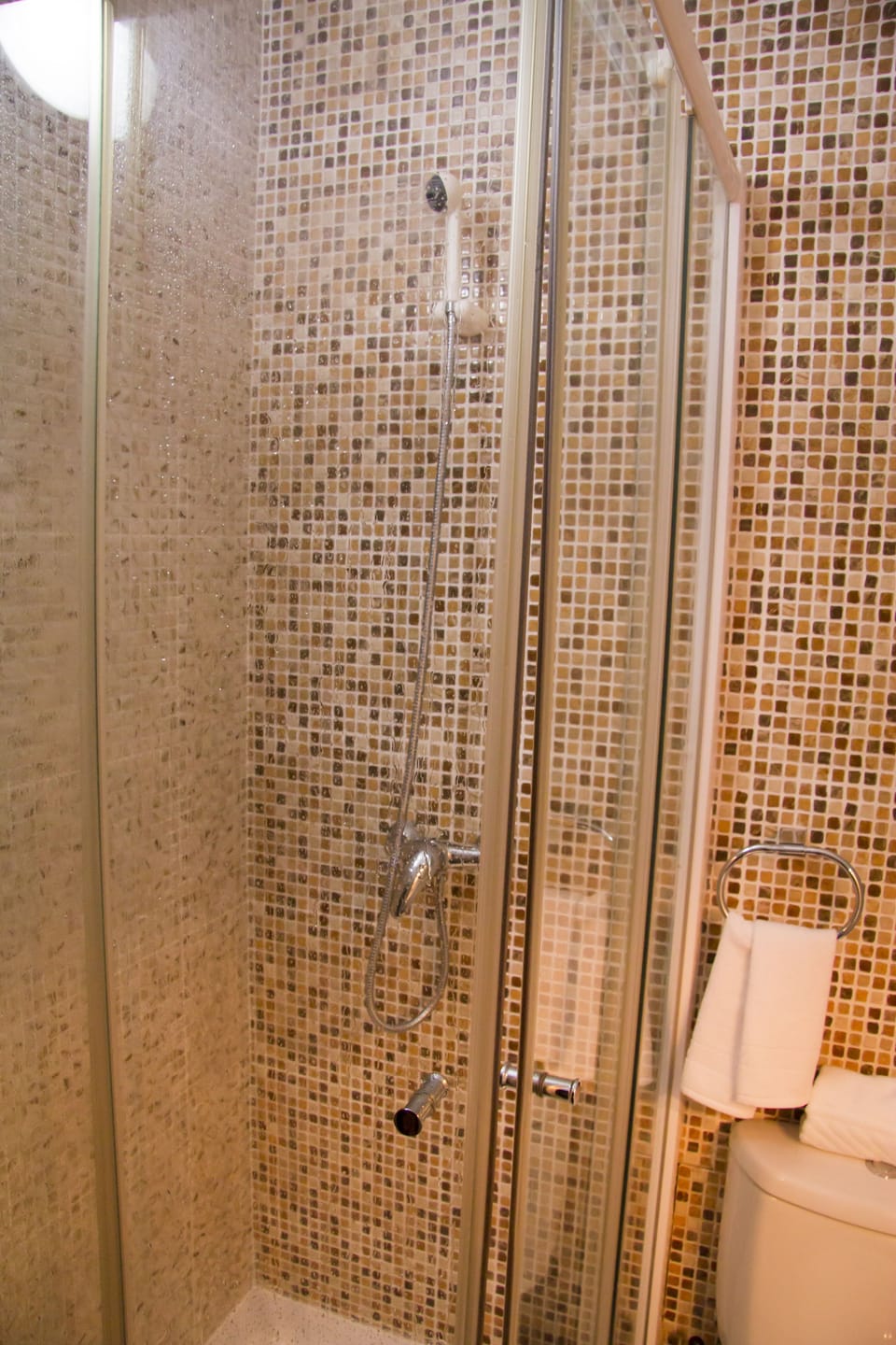 Business Double Room | Bathroom | Shower, free toiletries, towels