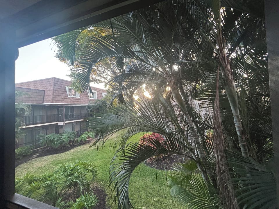Screened lanai with peaceful garden views and a distant glimpse of the Gulf.