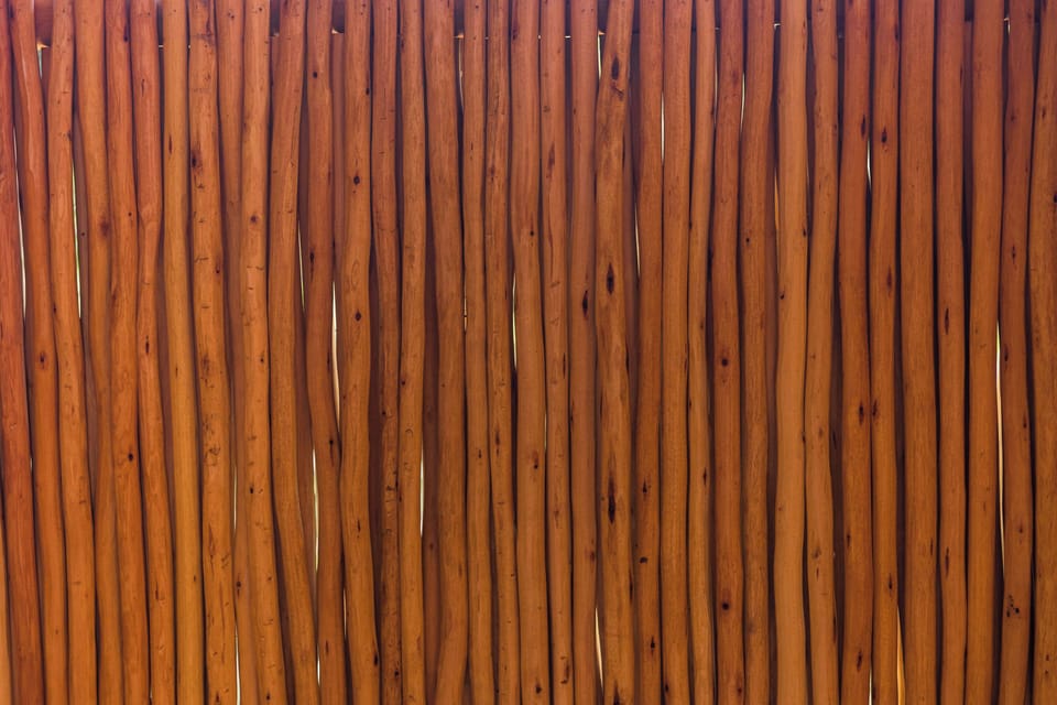 Vertical wood slat wall adds organic texture and privacy to the tropical bungalow exterior.