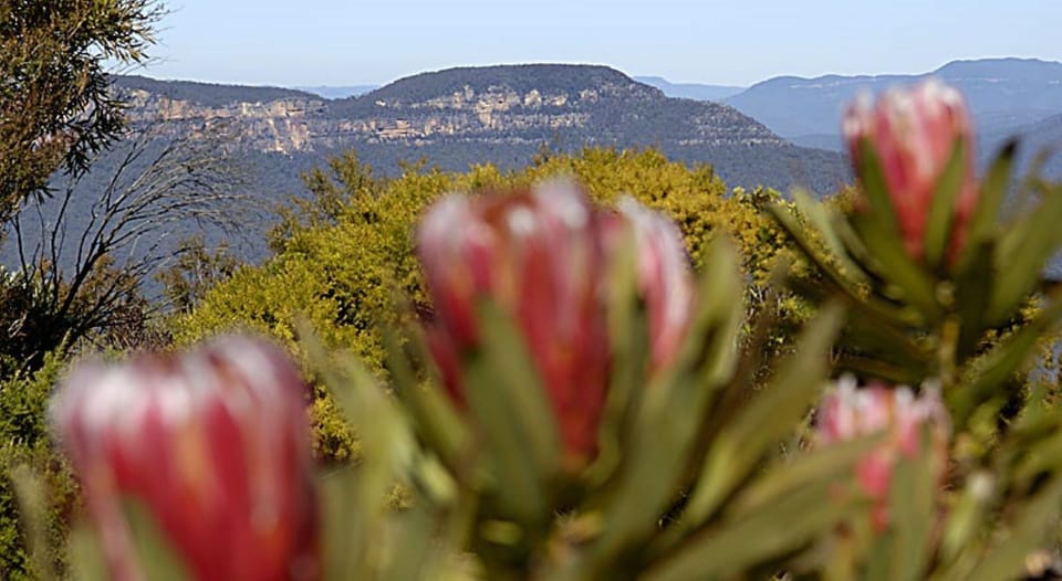 Actual view from property
