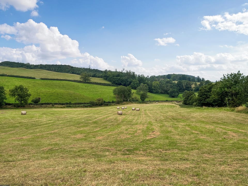 View | Alderneuk Lodge - Alderneuk Lodges, Dumfries