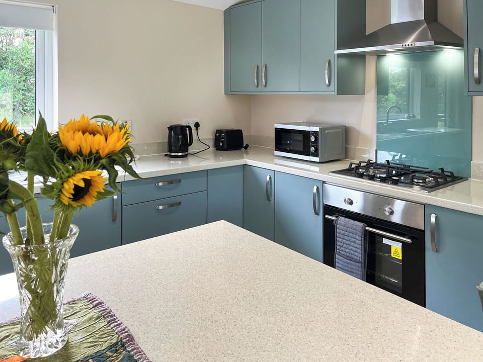 Kitchen | Alderneuk Lodge - Alderneuk Lodges, Dumfries