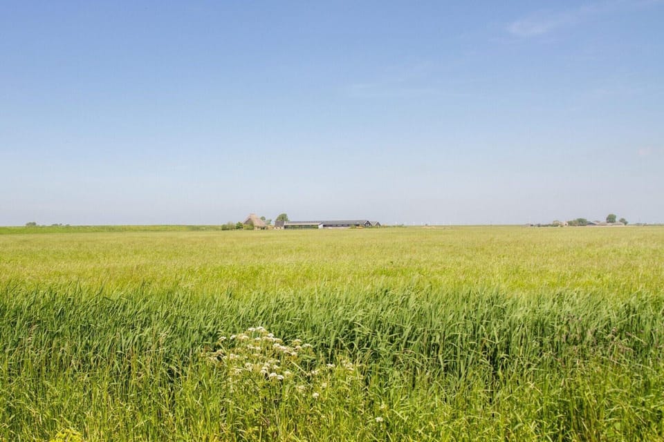 Surroundings [summer] (1-5 km)