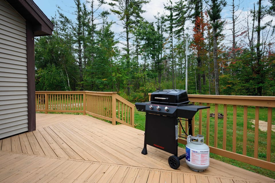Propane grill
