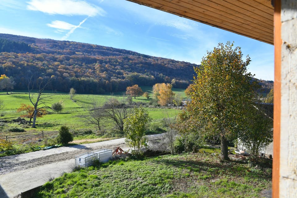View from property