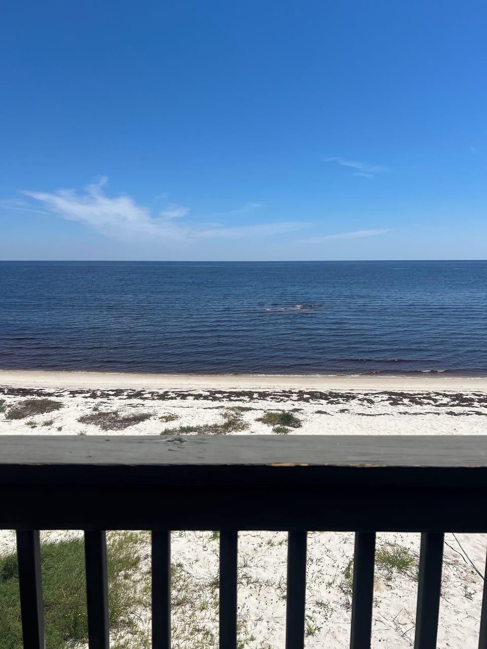 View from front porch seating