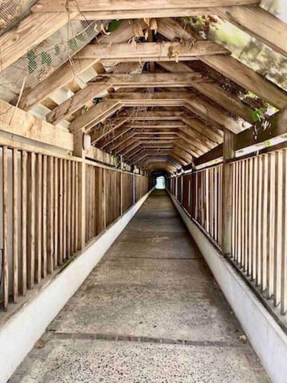 Pasillo que está hecho de madera que te sumerge en la naturaleza , lleva a la playa :queda en la calle principal a 5 minutos caminando, debes salir del condominio para llegar al tunel