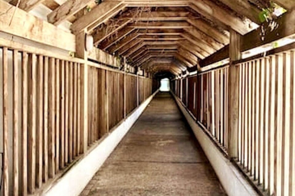 Un pasillo acogedor de madera para socializarte con la naturaleza