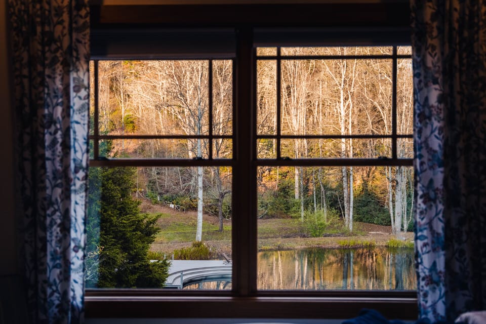 View from Guest Room #1 window