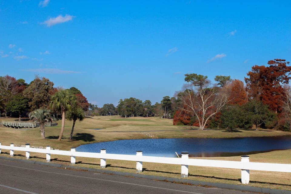 Surrounding Nature & Golfcourse
