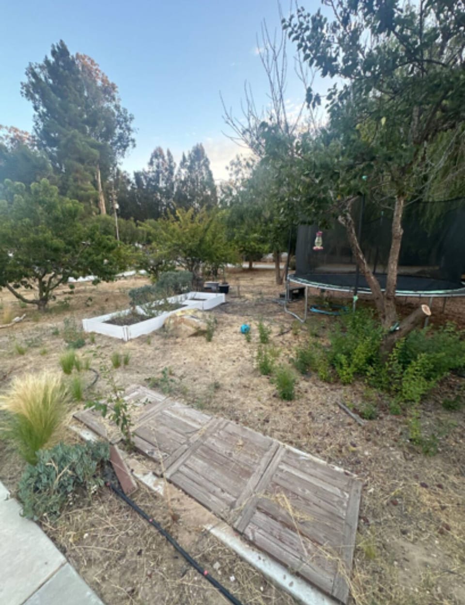 Property grounds