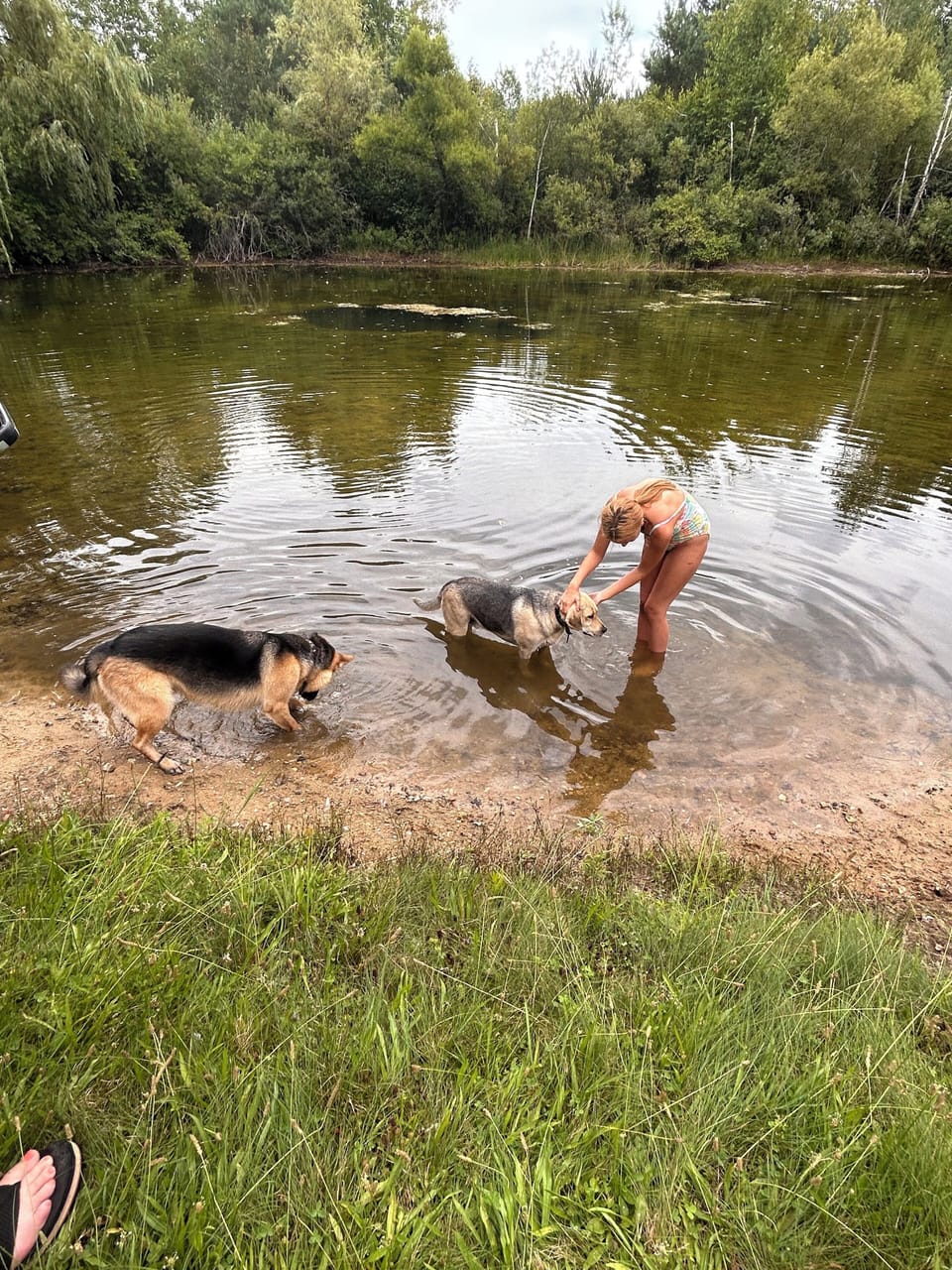 Pet-friendly